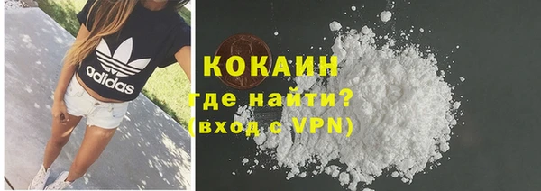 стафф Арсеньев