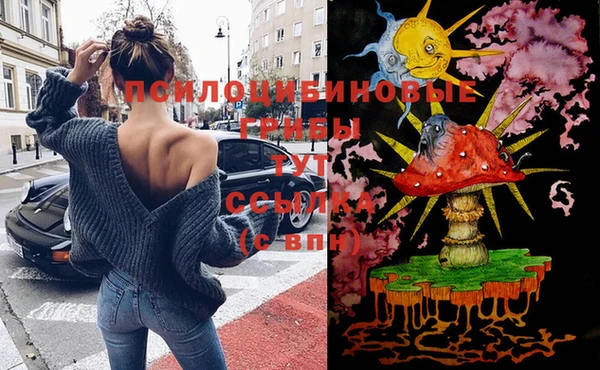 стафф Арсеньев