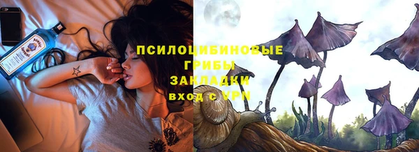 стафф Арсеньев